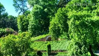 Я меленький цветочек, детские христианские стихи и рассказы