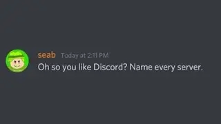 Oh so you like Discord? Name every server.