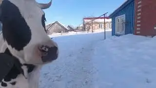 продолжение