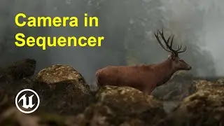 Camera in Sequencer in Unreal Engine 5