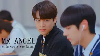 shin woo ✘ tae kyung - "mr angel."