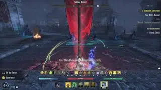 ESO| Lost Depths OP Bow Templar PvP BG/IC Gameplay