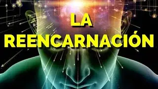 EXISTE O NO LA REENCARNACIÓN | ES POSIBLE LA REENCARNACIÓN | CÓMO RECORDAR VIDAS PASADAS | OMM SETY