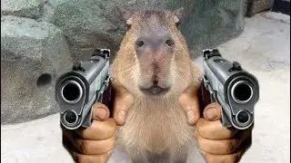 Зря ты мне доверил огнестрельное оружие 💀