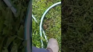 Теперь надо спасти меня !!! ужас!!!