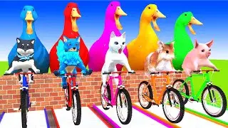 5 Giant Duck Cartoon, Paint & Animals Lion, Gorilla, Bear,Tiger , Dog Wild Animals Crossing Fountain