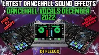 LEAST SAMPLER'S EFFECTS PACK | SOUND EFFECTS VOCALS DECEMBER 2022 | FREE DJ DROPS | VOCALS PACK |.