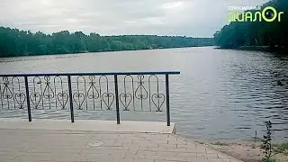 Малаховское озеро: новая жизнь (Видеоблог Евгения Степанова)