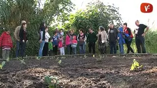 Un balcó és un hort