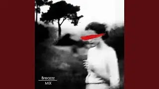 Vendit Amorem (Breazzz Mix)