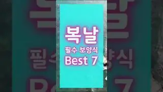 복날 필수 보양식 7가지 잘 챙겨드셔서 건강 챙기세요~!!