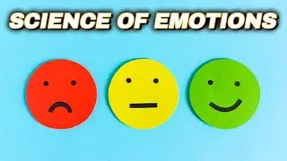 The SCIENCE Of Emotions: Mood Swings And Depression