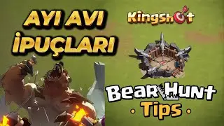 Kingshot Bear Hunt Tactics - The Right Heroes and Formation?