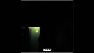 DieMantle- The Papers
