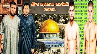 Нурулло Алиев приехал в гости: Хабиб с братом посетили дом Отца в горах - Тагир сходка в  Мекке 🤔