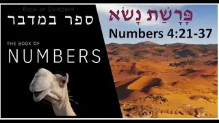 Numbers 