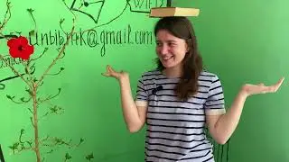 Корнелія Функе "Чорнильне серце"