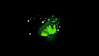 colour butterfly black screen | black screen butterfly | butterfly black screen video