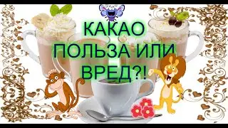 Какао польза и вред