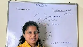 Chromosomal inheritance | Extrachromosomal inheritance | Non-nucleus inheritance | NEET | NET JRF