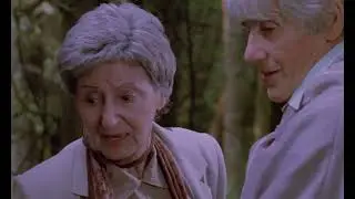 THE C0MPANY OF STRANG3RS (1990) - Cynthia Scott