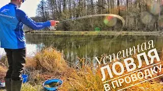 ЛОВЛЯ Рыбы В ПРОВОДКУ. Поклевки на ПОПЛАВОК Крупным Планом!