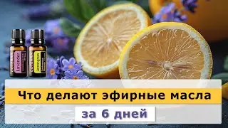 Что делают эфирные масла за 6 дней?