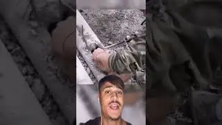 Animales Que Pidieron Ayuda A Las Personas 🥺 Parte 10 