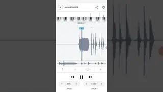 Testing a AudioStretch