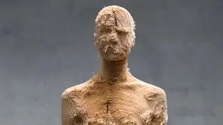 Galleria Barbara Paci presenta Aron Demetz