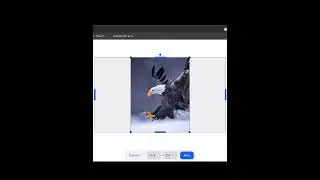 Uncrop AI - Ai shorts tutorial