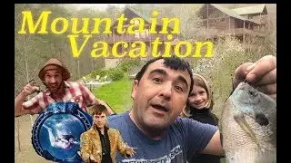 Mountain Vacation
