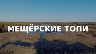 Васильевские угодья