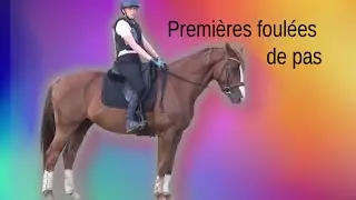 Comment débourrer son cheval en douceur : Premières foulées vers l'avant