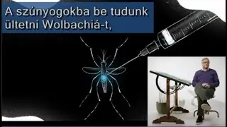 Áttörés a dengue-láz elleni küzdelemben