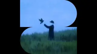 (FREE) 