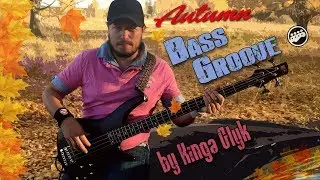 BASS GROOVE by Kinga Głyk  // Play with me if you want