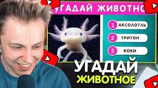 СТИНТ УГАДЫВАЕТ ЖИВОТНЫХ ПО ФОТО /  EMOJI COOL