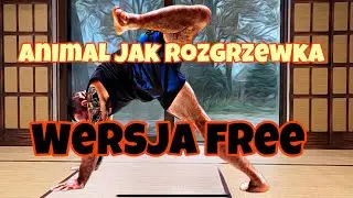 Animal Movement zamiast ROZGRZEWKI | Mobility Trening