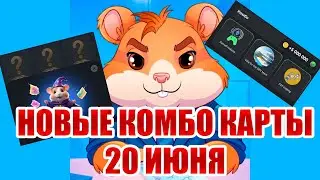 20 июня новое комбо Хамстер Комбат | 5000000 МОНЕТ НА БАЛАНС HAMSTER KOMBAT комбо карты 20.06