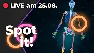 WEIẞT DU, WO DAS IST? Spot it! - Neue Live-Spielshow