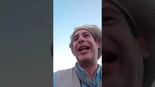 Jineteadas de caballos