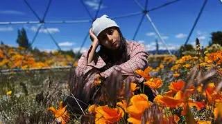 Milena Silva - Falling Apart