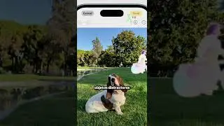 Elimina objetos o personas no deseadas en nuestras fotos con la nueva función del iPhone 16.