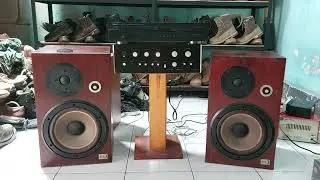 JVC  SX3ii speaker