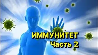Иммунитет часть 2 02/24