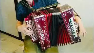 Звучание бомба 💥Гармонь любительская в Ре-диез/Играет Илья Хватков