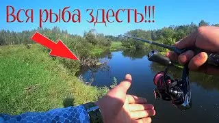 ЛОВЛЯ ГОЛАВЛЯ В КОНЦЕ АВГУСТА!!! ЗАКРЫВАТЬ СЕЗОН???