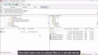 Upload Files using FileZilla | VeeroTech Hosting