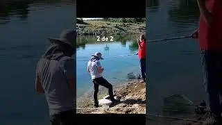 o balıkları nasıl ikna ettin? #avrupa #fishing #balık #carpfishing #doğa #sazan #türkiye